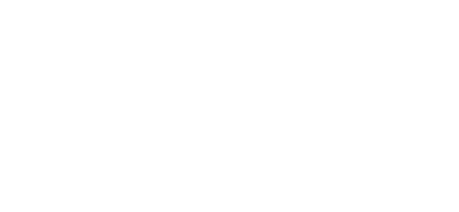 Adnova Consulting White Logo